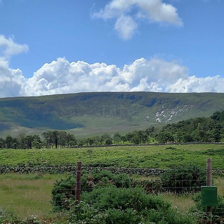 Oakwood Glamping Mourne Mountains Hotel Moyad Kültér fotó