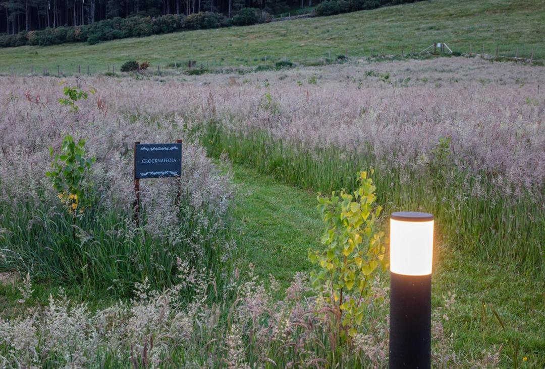 Oakwood Glamping Mourne Mountains Hotel Moyad Kültér fotó